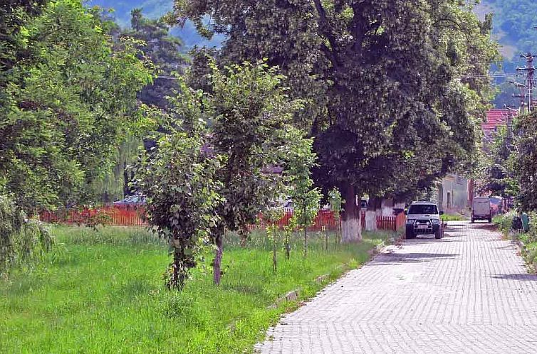 Vakantiehuis Casa Nicu - traditionelles Landhaus in Hirtendo