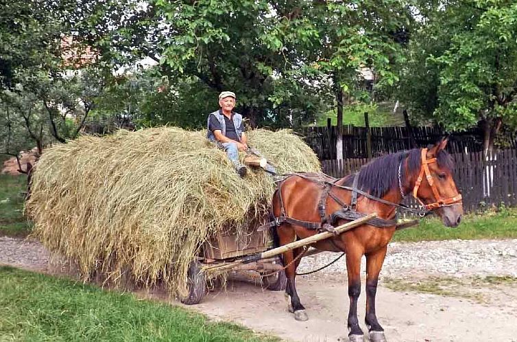 Vakantiehuis Casa Nicu - traditionelles Landhaus in Hirtendo