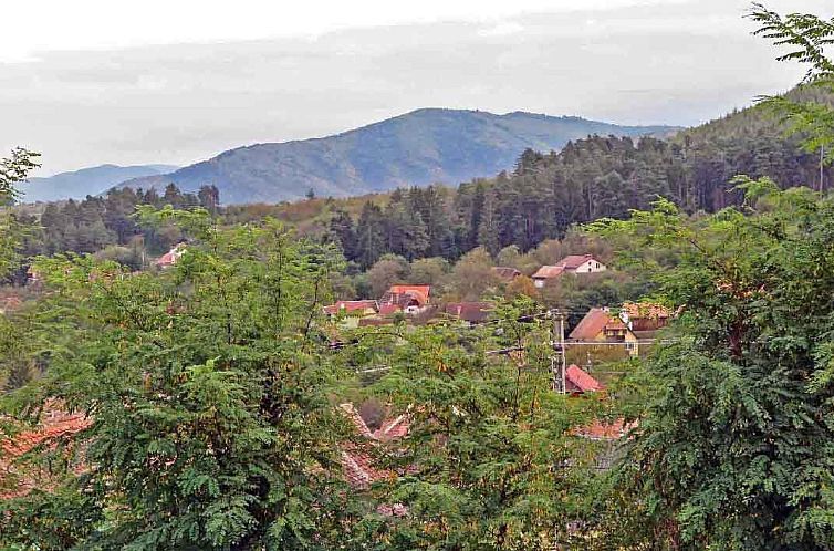 Vakantiehuis Casa Nicu - traditionelles Landhaus in Hirtendo