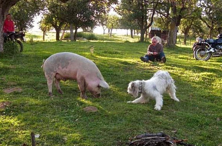 Vakantiehuis in Sibiel mit Terrasse und Grill
