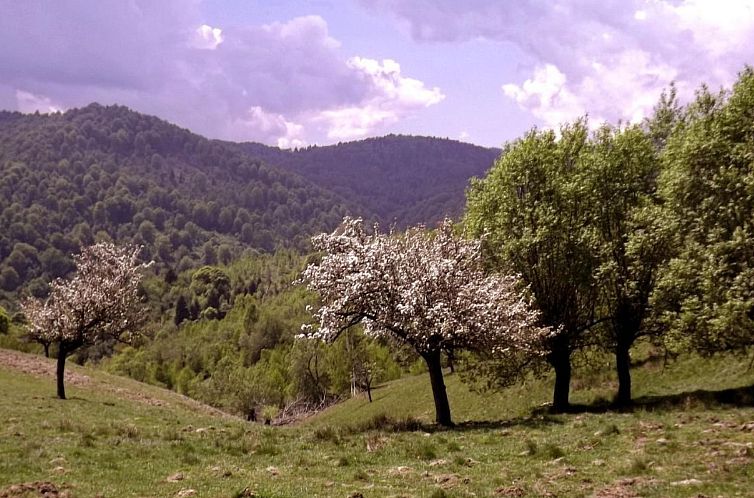 Vakantiehuis in Sibiel mit Terrasse und Grill