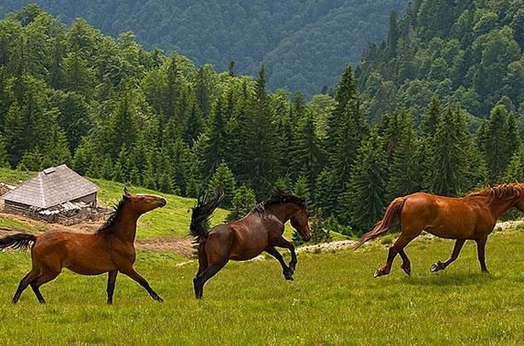 Vakantiehuis in Sibiel mit Terrasse und Grill