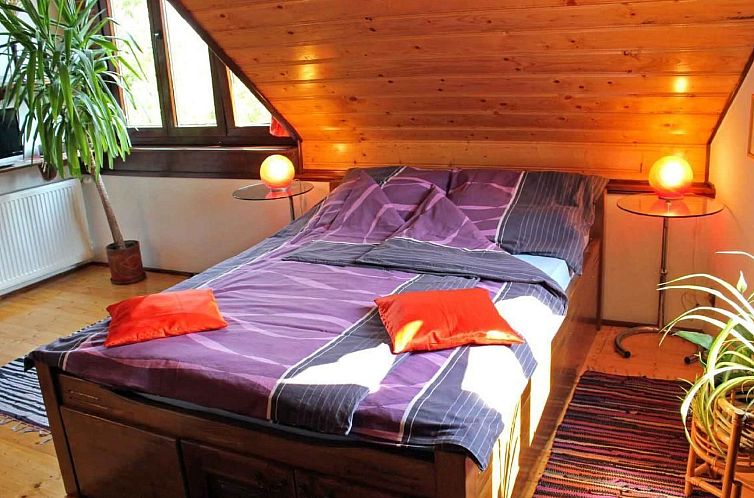 Vakantiehuis Casa Crina in Karpaten-Dorf in Siebenbürgen