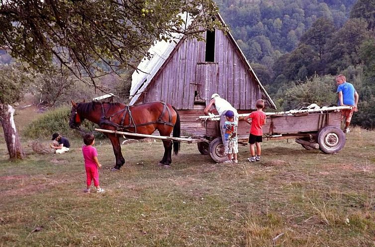 Vakantiehuis Cozo Fantu