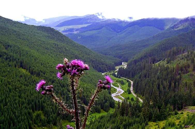 Vakantiehuis Cozo Fantu