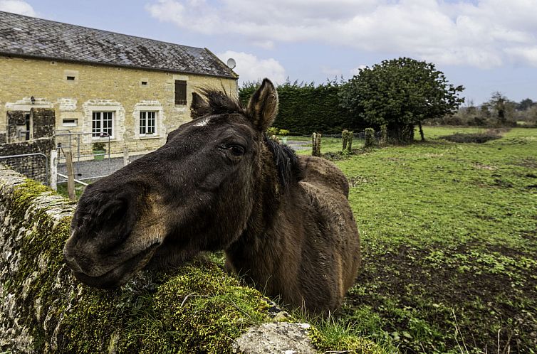 Vakantiehuis Le Clos Renard