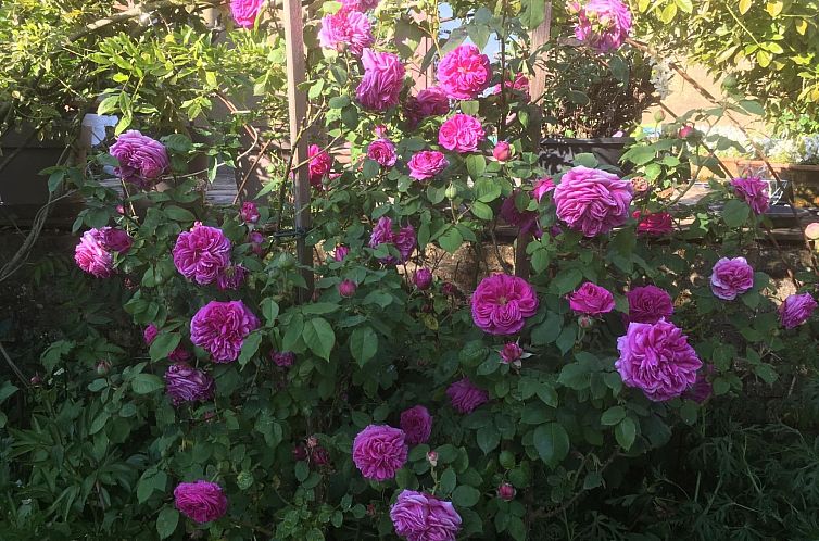 Vakantiehuis Finca "Motje" mit Aussicht