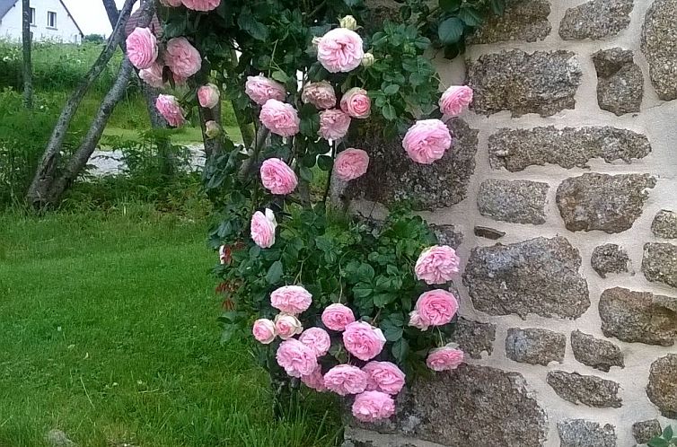 Vakantiehuis Finca "Motje" mit Aussicht