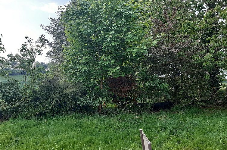 Vakantiehuis Finca "Motje" mit Aussicht