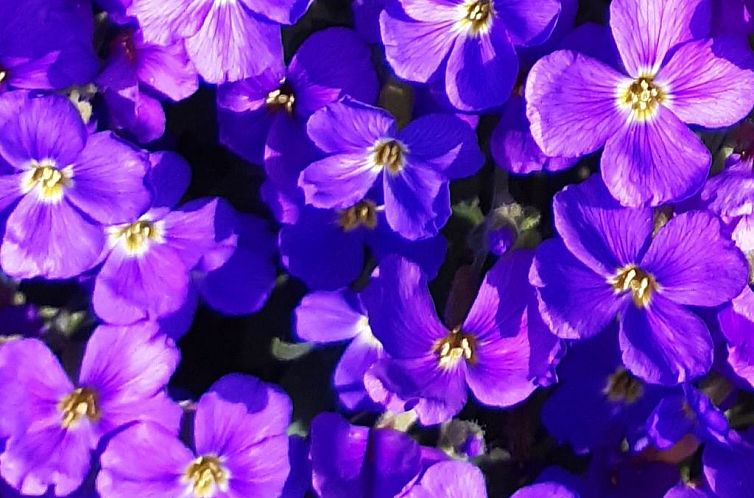 Vakantiehuis Finca "Motje" mit Aussicht