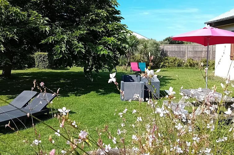 Vakantiehuis Les Cordylines