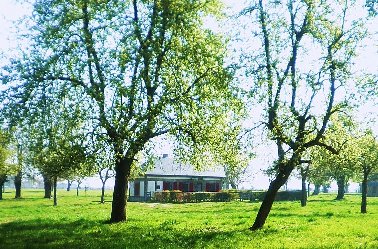 Vakantiehuis "La Petite Cauvinière"