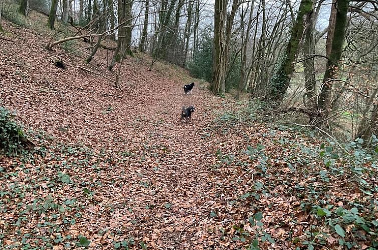 Vakantiehuis in Villebaudon