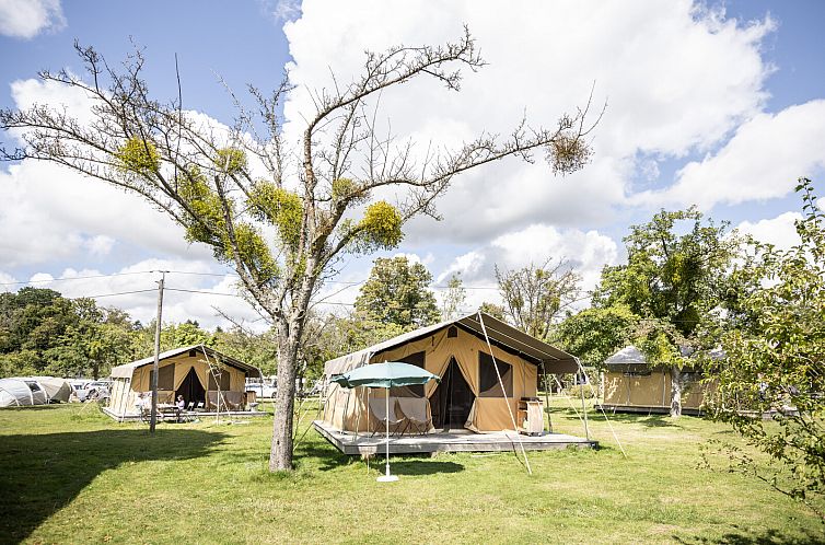 Experience luxury camping at Tent Sweet in Moyaux, France, surrounded by serene nature and comfortable safari tents.
