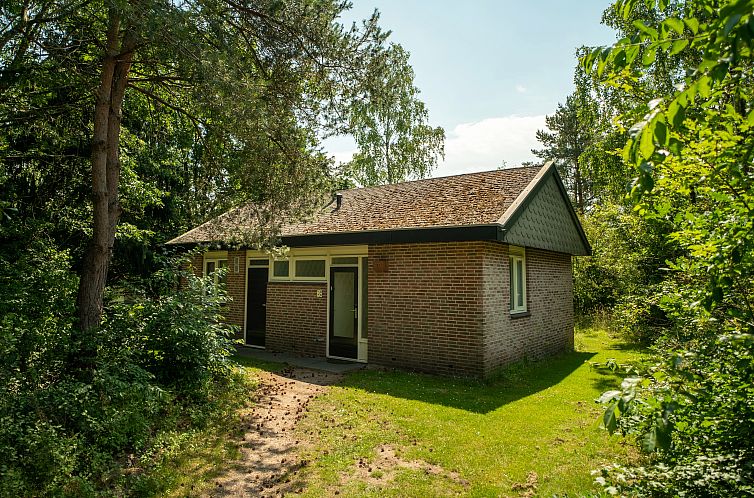 Aelderholt | 6-persoons bungalow | 6B