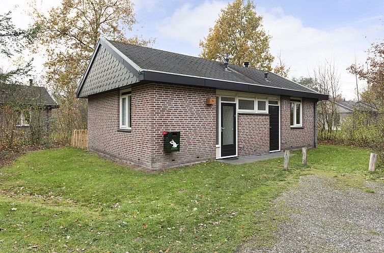 Aelderholt | 6-persoons hondenbungalow | 6CD