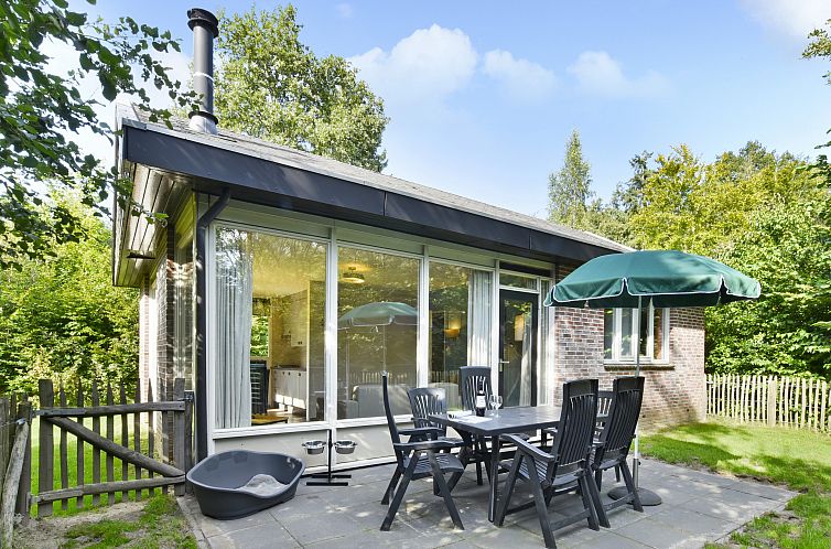 Aelderholt | 6-persoons hondenbungalow | 6CD