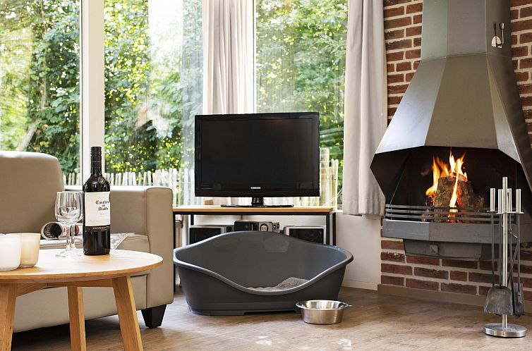 Aelderholt | 6-persoons hondenbungalow | 6CD