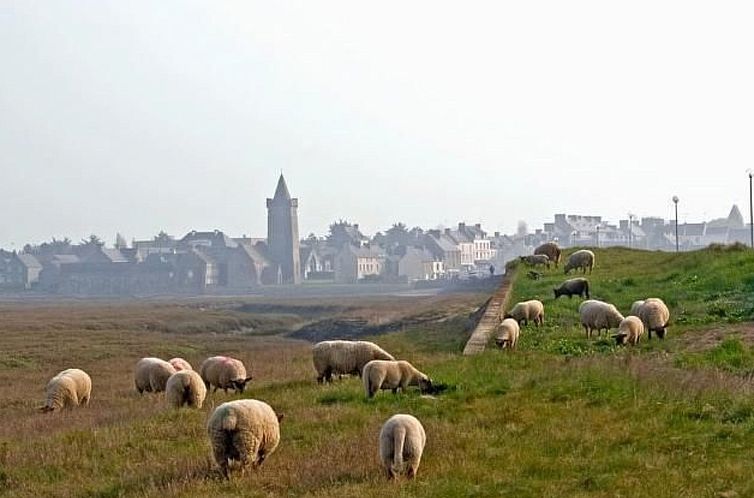 Vakantiehuis Charmantes Holzhaus in einer grünen Umgebung