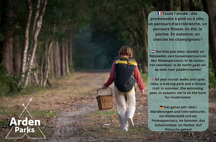 Stardust 40 Family Lodge