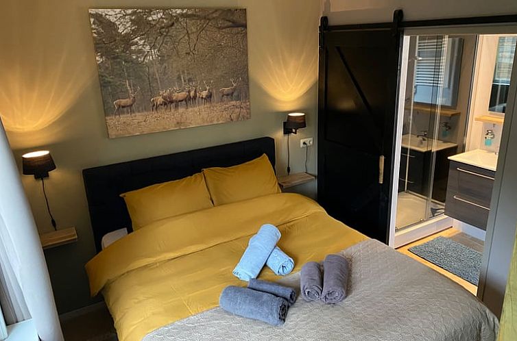 Vakantiehuis in Dalen (dorp)