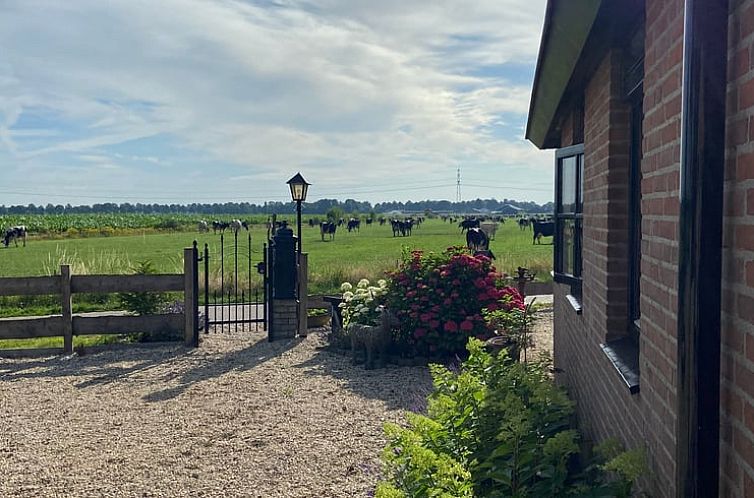 Huisje in Dalen (dorp)