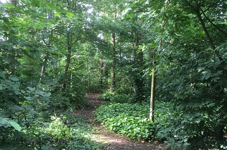 Huisje in Dalen (dorp)