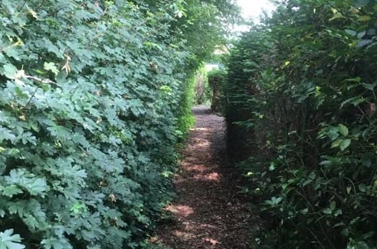 Huisje in Dalen (dorp)