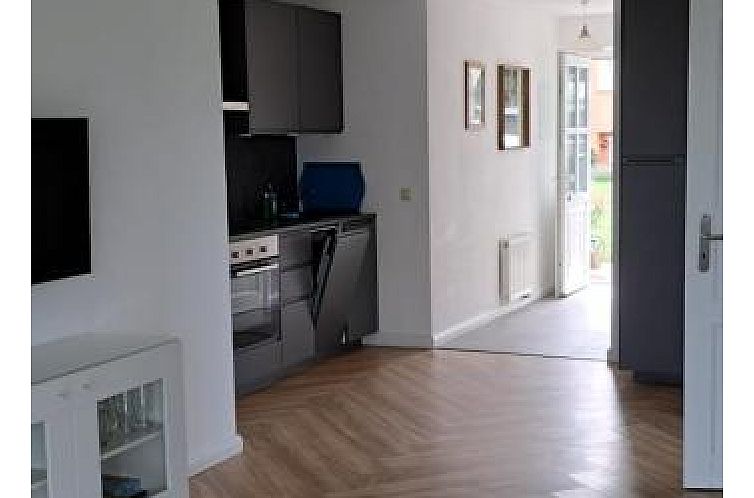 Strandläufer Kühlungsborn