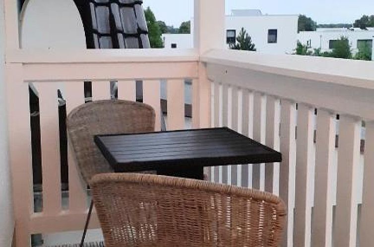 Strandläufer Kühlungsborn