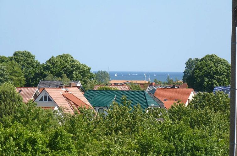 Strandläufer Kühlungsborn