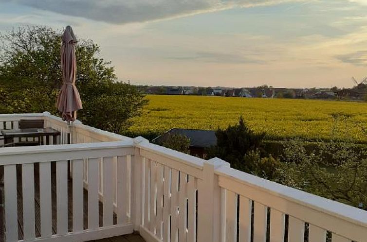 Strandläufer Kühlungsborn