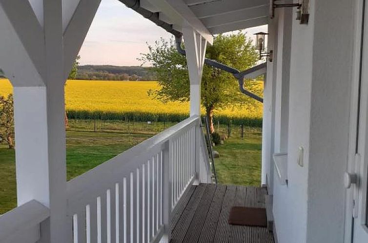 Strandläufer Kühlungsborn