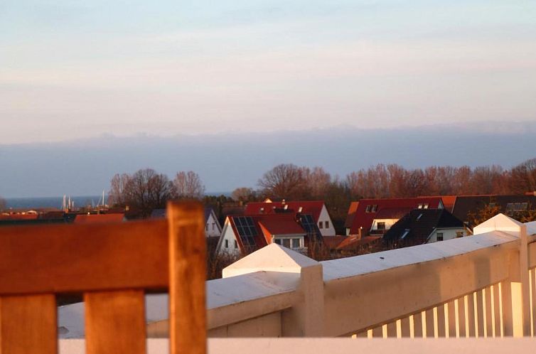 Strandläufer Kühlungsborn