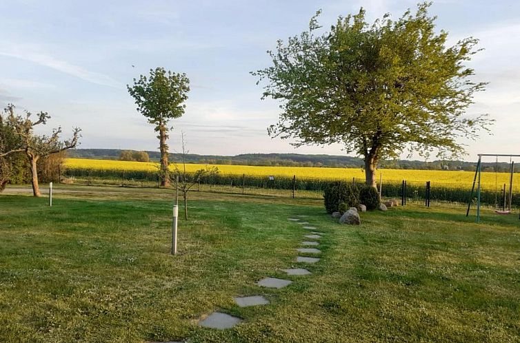 Strandläufer Kühlungsborn