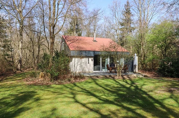 Vakantiehuisje in Geesbrug, Drenthe met groene tuin en terras in bosrijke omgeving.