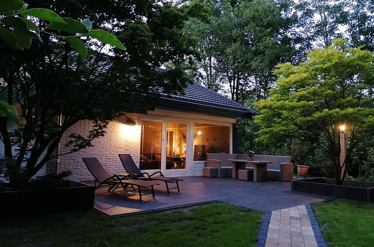 Gezellig terras bij Vakantiehuisje in Geesbrug, Drenthe, omringd door groene natuur voor ultieme ontspanning.