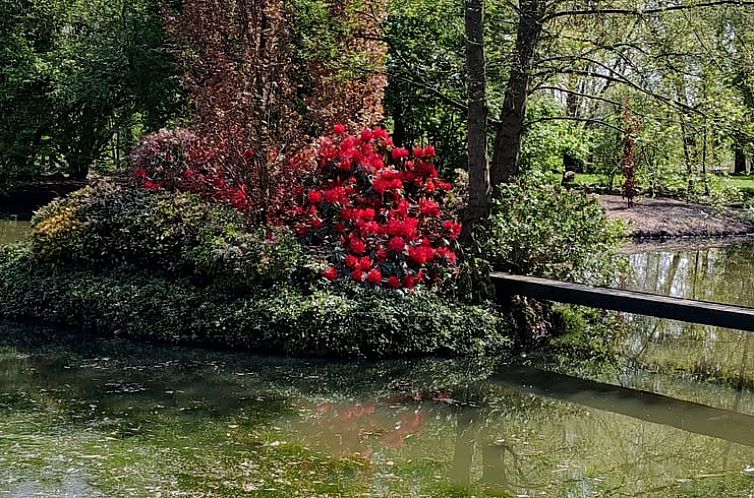 Vakantiehuis in Coevorden