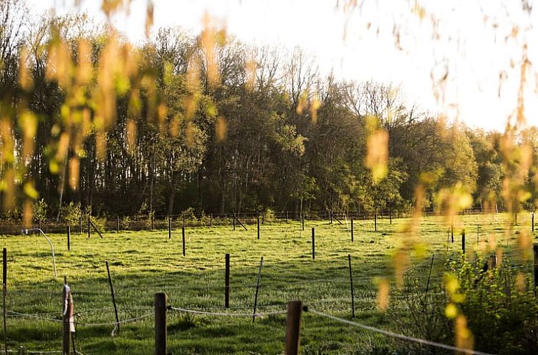 Vakantiehuisje in Stieltjeskanaal (plaats)