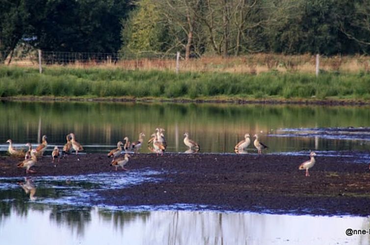 Vakantiehuisje in Stieltjeskanaal (plaats)