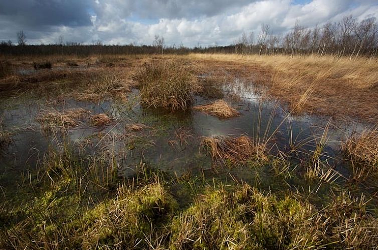 Vakantiehuisje in Stieltjeskanaal (plaats)
