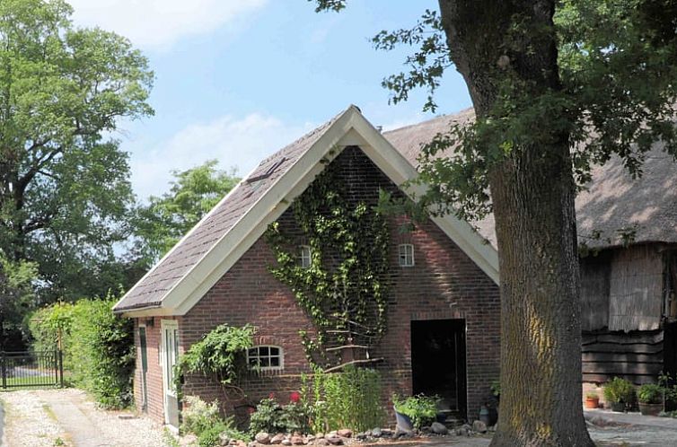 Charmantes Ferienhaus in Benneveld, Drenthe, umgeben von gruener Natur und rustikaler Architektur.