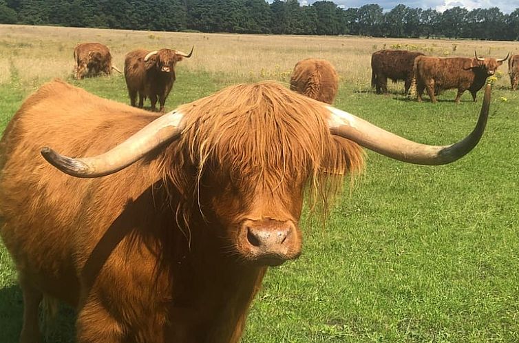 Vakantiehuis in Benneveld