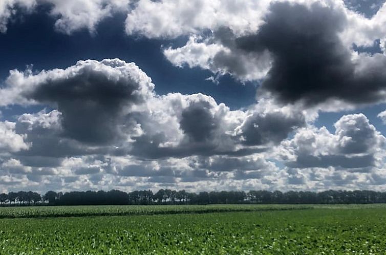 Vakantiehuis in Benneveld