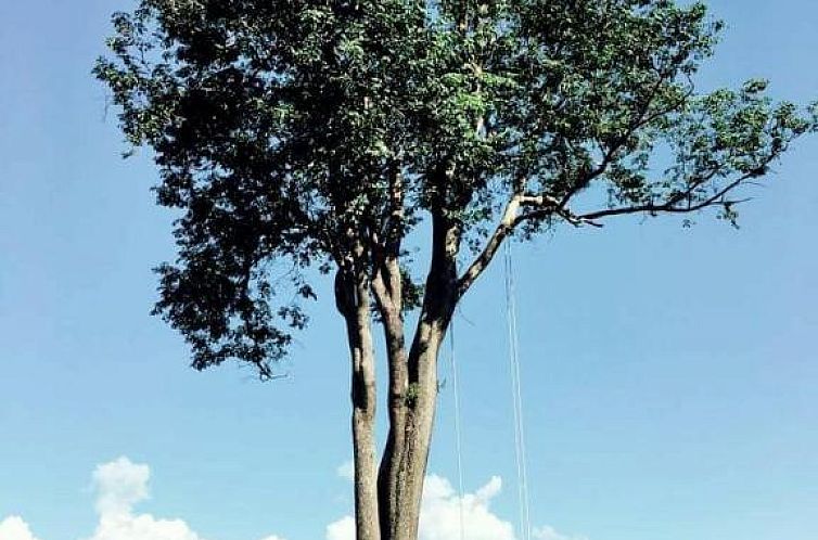 Unterkunft 1930658 - Appartement Nord-Thailand - Mari Pai Resort