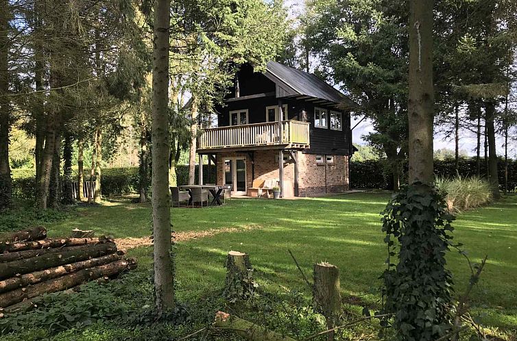 Ferienhaus DG1101 in Erica, Drenthe mit einer grossen Veranda und gruener Umgebung.
