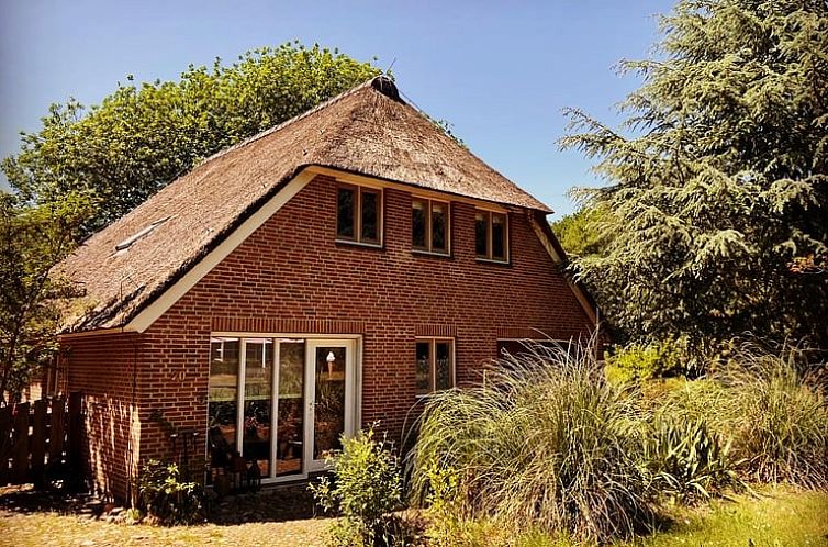 Charmant vakantiehuisje in Klijndijk met rieten dak, omgeven door groen in Zuidoost Drenthe.