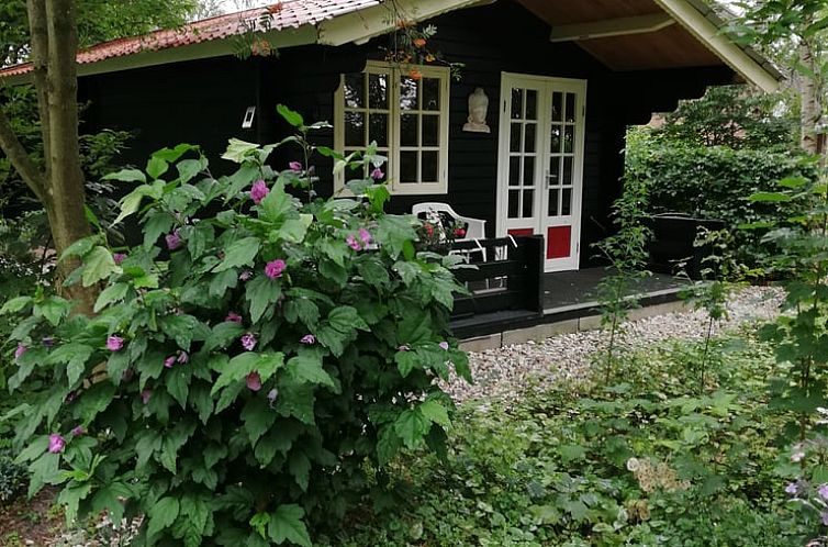 Vakantiehuisje in 't Haantje