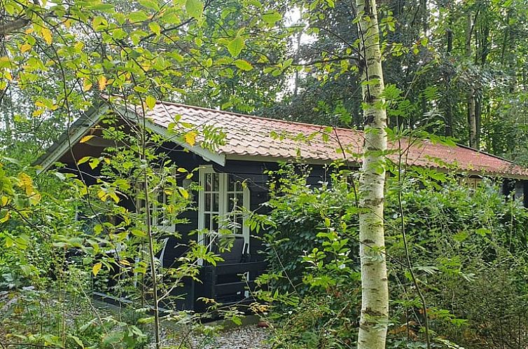 Vakantiehuisje in 't Haantje