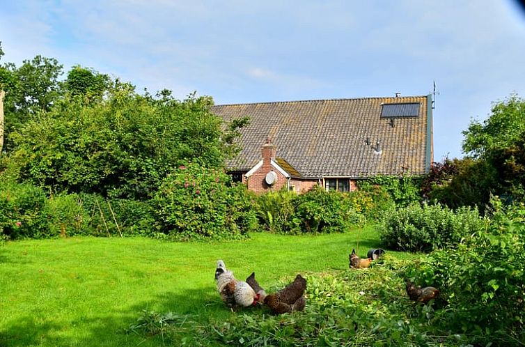 Vakantiehuis in Odoornerveen, gelegen in een groene omgeving met kippen in de tuin, Zuidoost Drenthe, Drenthe.